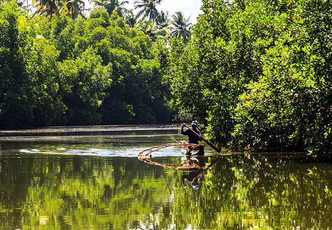 Lagoon safari in negombo